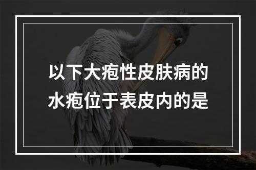 以下大疱性皮肤病的水疱位于表皮内的是