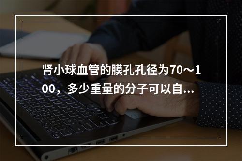 肾小球血管的膜孔孔径为70～100，多少重量的分子可以自由