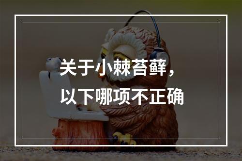 关于小棘苔藓，以下哪项不正确