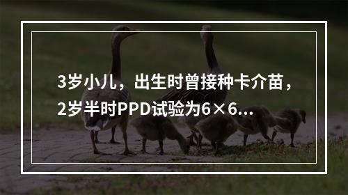 3岁小儿，出生时曾接种卡介苗，2岁半时PPD试验为6×6mm