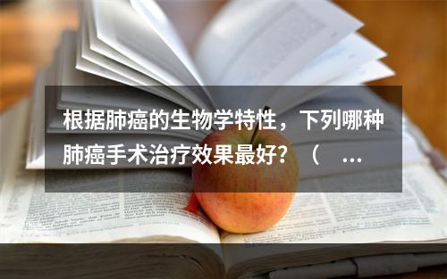 根据肺癌的生物学特性，下列哪种肺癌手术治疗效果最好？（　　）