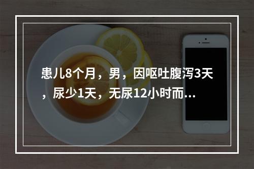 患儿8个月，男，因呕吐腹泻3天，尿少1天，无尿12小时而入院