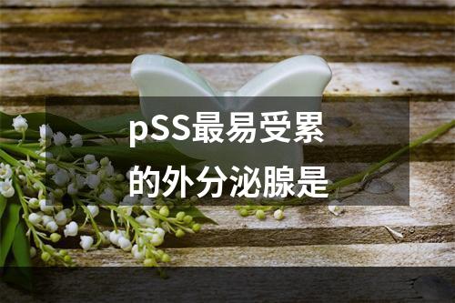 pSS最易受累的外分泌腺是