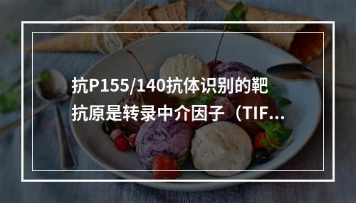 抗P155/140抗体识别的靶抗原是转录中介因子（TIF）1