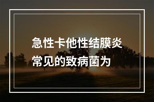 急性卡他性结膜炎常见的致病菌为