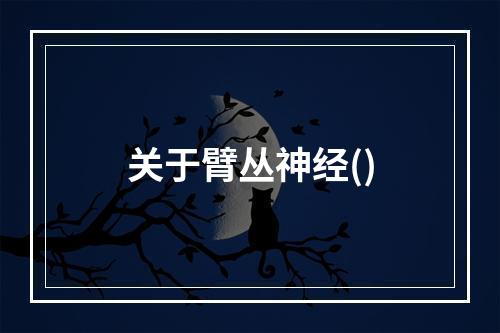 关于臂丛神经()