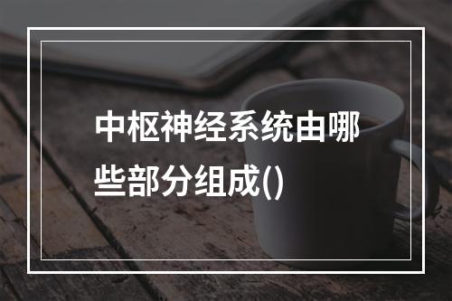 中枢神经系统由哪些部分组成()