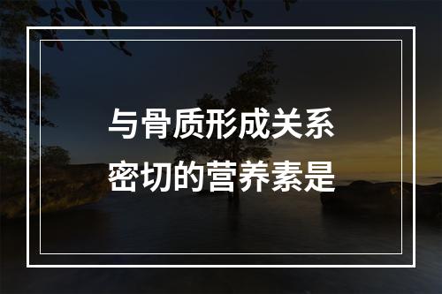 与骨质形成关系密切的营养素是