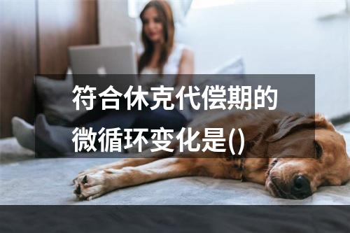 符合休克代偿期的微循环变化是()