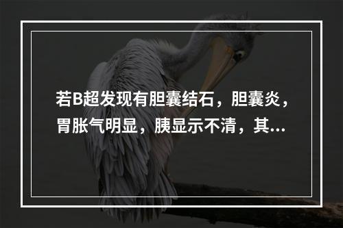 若B超发现有胆囊结石，胆囊炎，胃胀气明显，胰显示不清，其首选