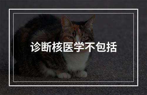 诊断核医学不包括