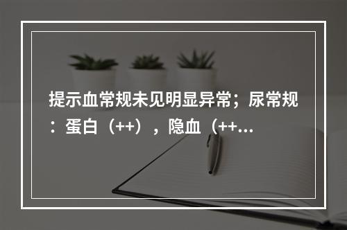 提示血常规未见明显异常；尿常规：蛋白（++），隐血（++++