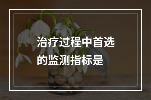 治疗过程中首选的监测指标是