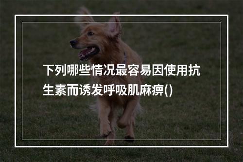 下列哪些情况最容易因使用抗生素而诱发呼吸肌麻痹()