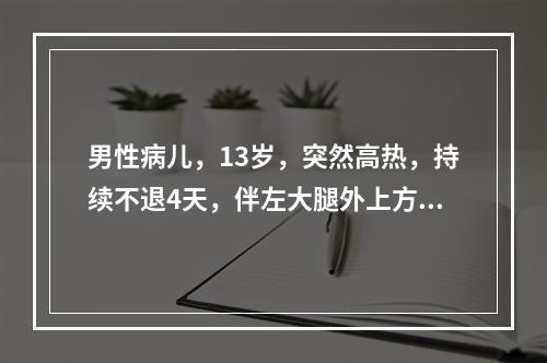 男性病儿，13岁，突然高热，持续不退4天，伴左大腿外上方疼痛