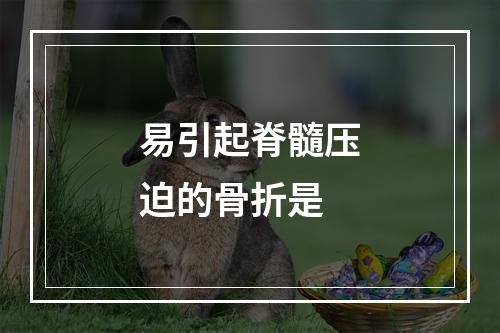 易引起脊髓压迫的骨折是