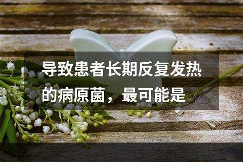 导致患者长期反复发热的病原菌，最可能是