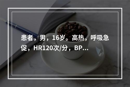 患者，男，16岁。高热，呼吸急促，HR120次/分，BP80