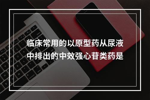 临床常用的以原型药从尿液中排出的中效强心苷类药是