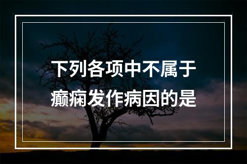 下列各项中不属于癫痫发作病因的是