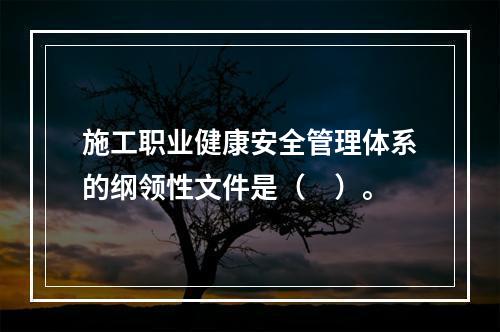 施工职业健康安全管理体系的纲领性文件是（　）。