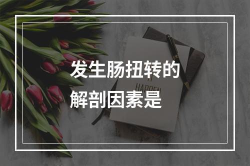 发生肠扭转的解剖因素是