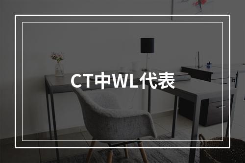 CT中WL代表