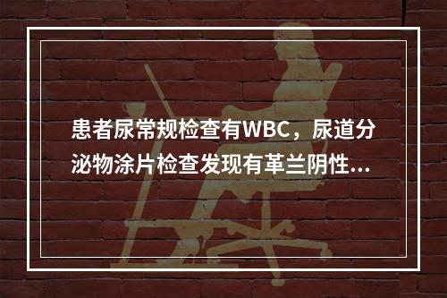 患者尿常规检查有WBC，尿道分泌物涂片检查发现有革兰阴性双球