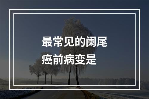 最常见的阑尾癌前病变是