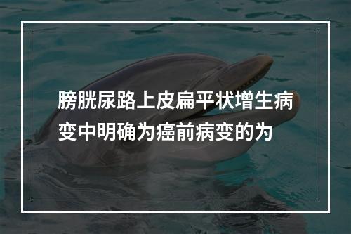 膀胱尿路上皮扁平状增生病变中明确为癌前病变的为