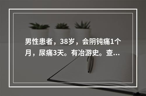 男性患者，38岁，会阴钝痛1个月，尿痛3天。有冶游史。查体：