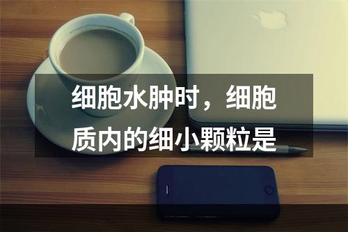 细胞水肿时，细胞质内的细小颗粒是