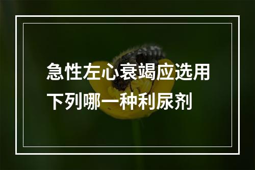 急性左心衰竭应选用下列哪一种利尿剂