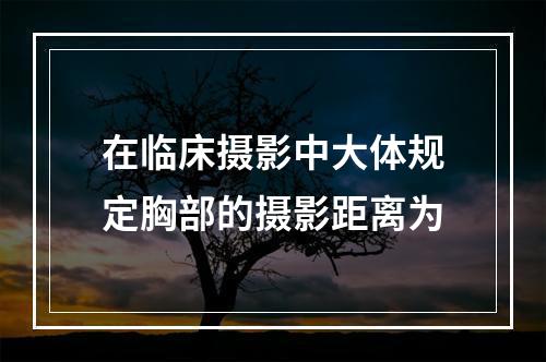 在临床摄影中大体规定胸部的摄影距离为