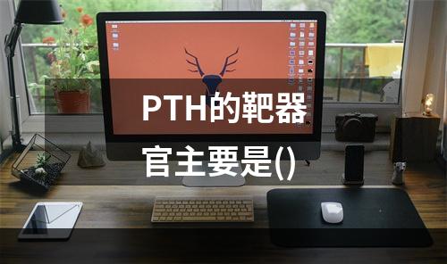 PTH的靶器官主要是()