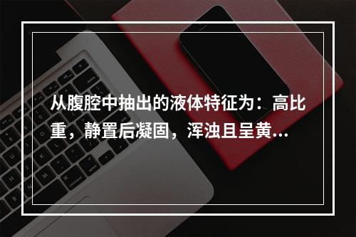 从腹腔中抽出的液体特征为：高比重，静置后凝固，浑浊且呈黄色。