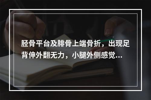 胫骨平台及腓骨上端骨折，出现足背伸外翻无力，小腿外侧感觉消失