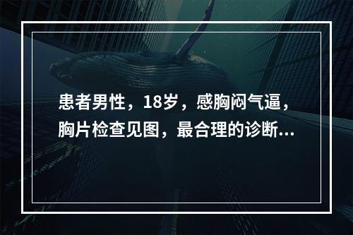 患者男性，18岁，感胸闷气逼，胸片检查见图，最合理的诊断是(