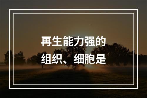 再生能力强的组织、细胞是