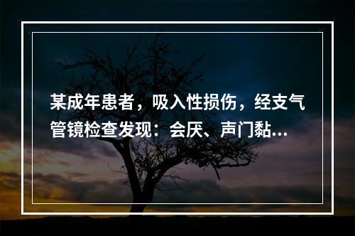 某成年患者，吸入性损伤，经支气管镜检查发现：会厌、声门黏膜充