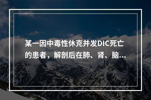 某一因中毒性休克并发DIC死亡的患者，解剖后在肺、肾、脑等组