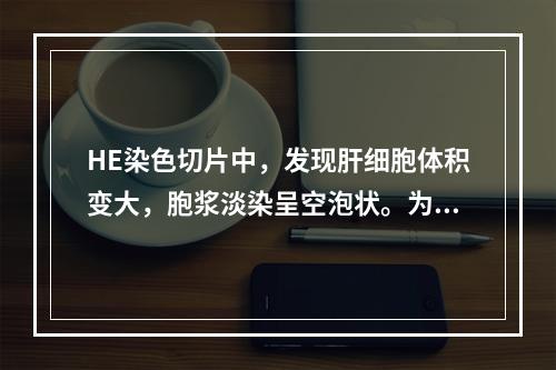 HE染色切片中，发现肝细胞体积变大，胞浆淡染呈空泡状。为确定