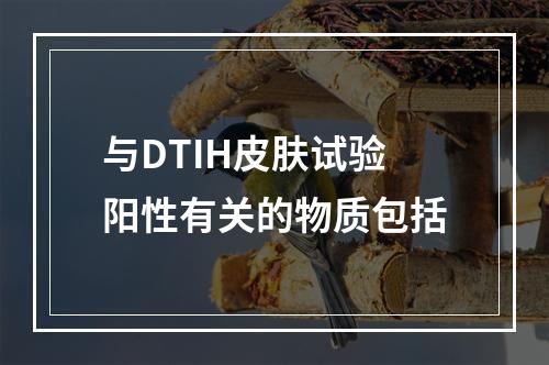 与DTIH皮肤试验阳性有关的物质包括