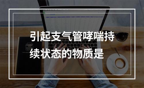 引起支气管哮喘持续状态的物质是