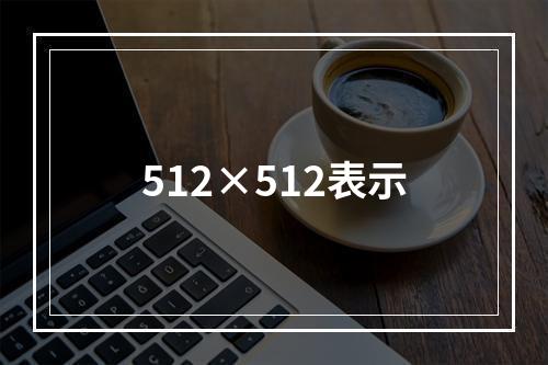 512×512表示