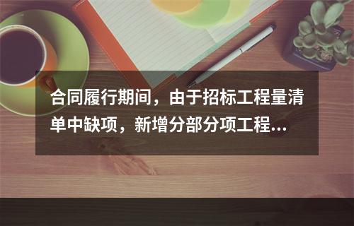 合同履行期间，由于招标工程量清单中缺项，新增分部分项工程清单