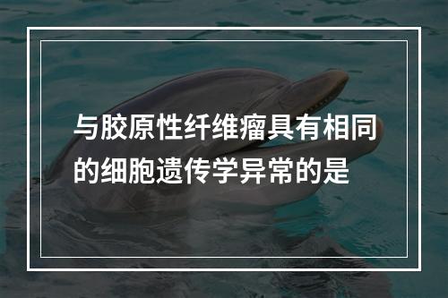 与胶原性纤维瘤具有相同的细胞遗传学异常的是