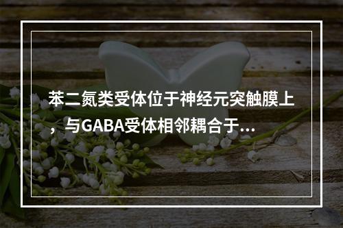 苯二氮类受体位于神经元突触膜上，与GABA受体相邻耦合于共