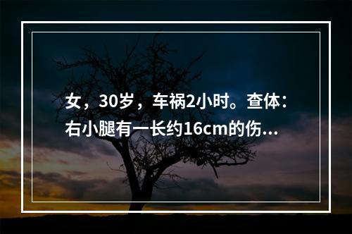 女，30岁，车祸2小时。查体：右小腿有一长约16cm的伤口，