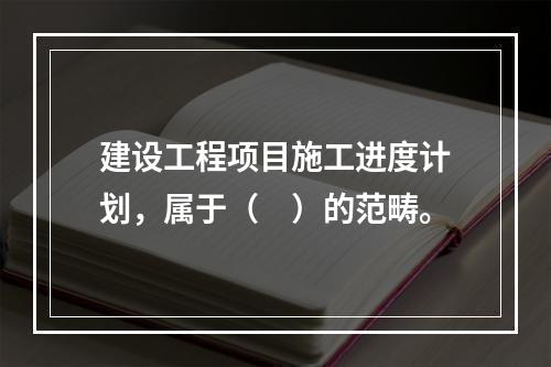 建设工程项目施工进度计划，属于（　）的范畴。